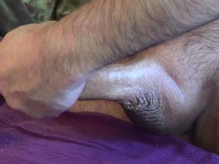 My hairless puppies