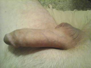 My husband\'s dick, freshly shaved, getting hard tributing zoig members this morning.