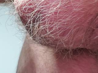 my hairy balls after 2 months of not shaving
Let it grow or must it go