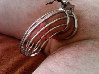 caged cock
