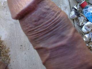 Mi pene a la interperie