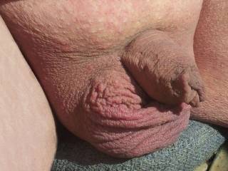 Enjoying the sun on my shaved cock and balls! Want to sun with me?