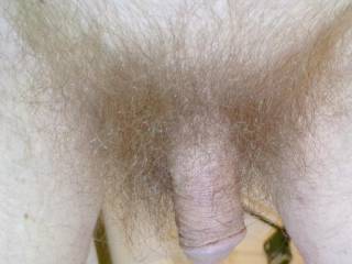 A close up of my small dick and hair after my shower in early April of 2024. Vlog camera was used.