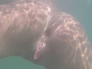 Under water flying lips