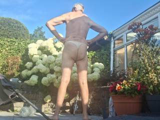 Ass