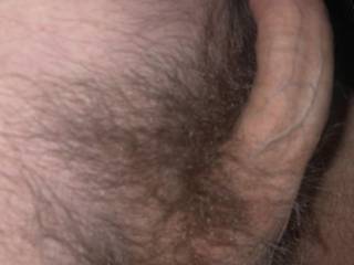 dick