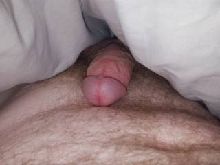 Woke up with a bit of morning wood...wonder what I was dreaming about.   ;-)
