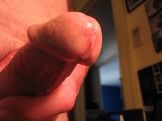 Would you like to lick my precum?