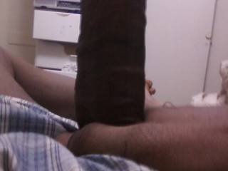 Juss Bored