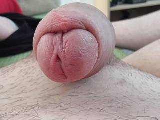 who wants a nibble of my shaved cock now