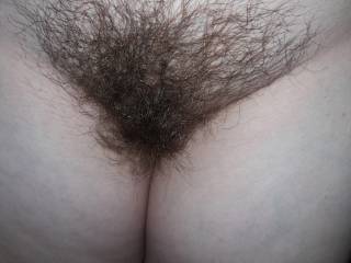 Wifes nice hairy pussy