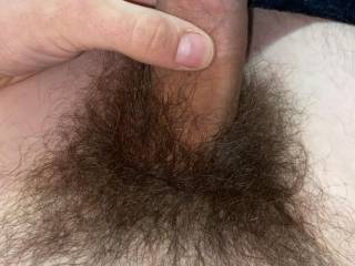 Hairy white dick