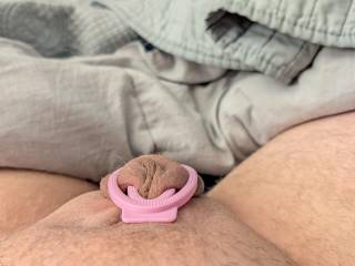 New toy. What do you think?