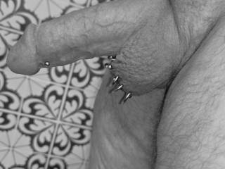 Imagine if you will.. Us dry humping... and me dragging my Hafada Ladder Piercings against your clit !!**