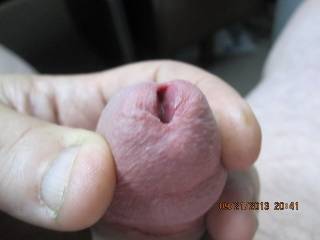 opening my dickhead so you can see the precum