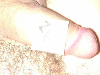 my dick