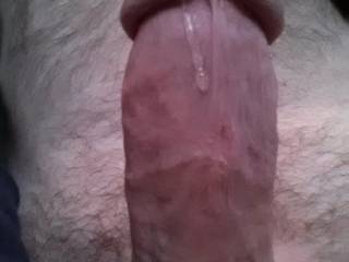 Oozing precum for you... its so tasty