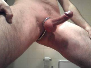 ass lock cockring....hard hard hard...like a rock....want a taste?