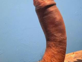 morning wood