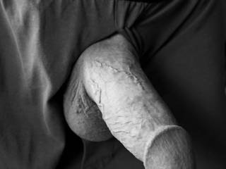 Homme Sexuelle - Noir et Blanc Classique: "Thick and Veiny"