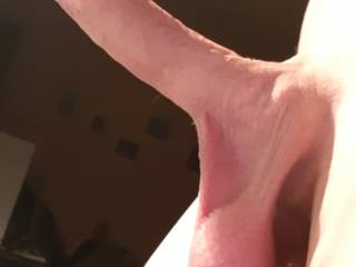 My Fuckcock