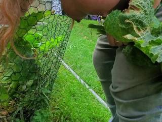 In the garden