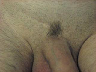 shot of my patch of pubic hair