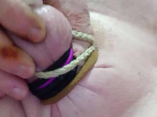 Swollen and Tied For Your Pleasure