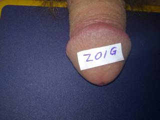 cock with zoig sigh