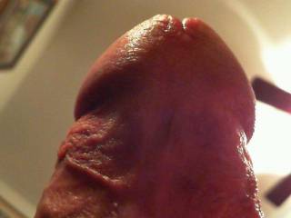 Close up cock head