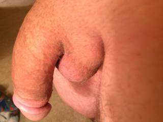 Shaved dick