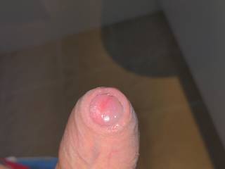 Just edging out the precum, need someone to cum and play with it