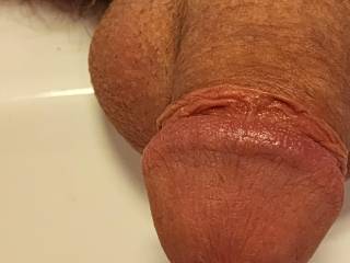 Trimmed and then took photos