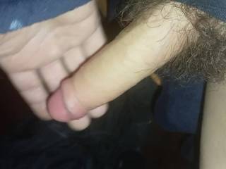 Cock exercising