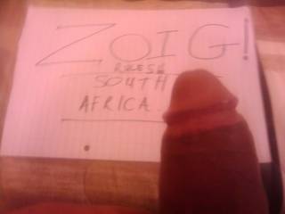 For ZOIG!