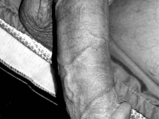 Do you want my cock?