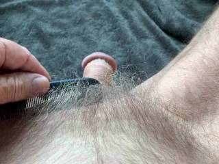 Mr. F wants to trim, but I like his bush.  Should I say yes?  From Mrs. Floridaman