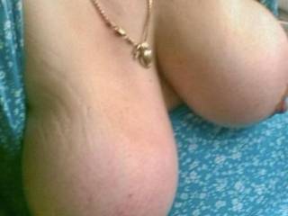 Shaggy tits