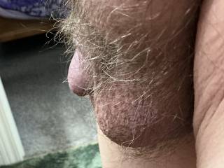 After my trim. What do you think?