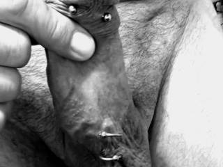 Posing for the Camera 📷