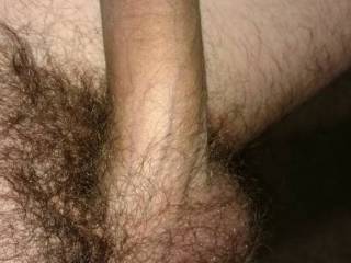 Just a pic of my dick untrimmed
