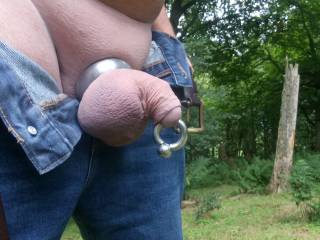 Just before I removed the jeans.... no underwear... there never is!
Setting the old chap free into the cool Scottish woodland air!