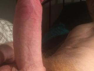 What do you think about me and my red hairy dick ?