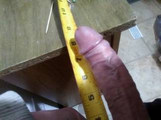 Size of my duck