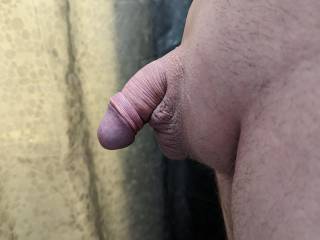 Some morning shower pics