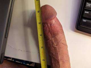 Trying to take a pic of my length before it starts to shrink. I need a helping hand, and I know I could get it another inch higher!