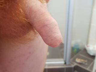 First time posting, just a few pictures of my small little dick.