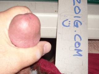 Just been looking a zoig members and enjoying it. Hope you enjoy the cum shot...will have to work on the camera use.