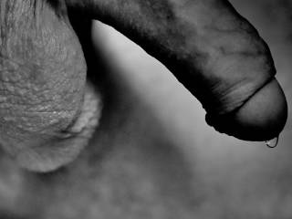 dick