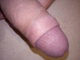 First pic! What do you think?